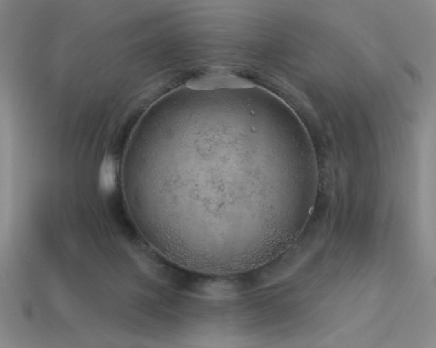 X0000114120075200910051519