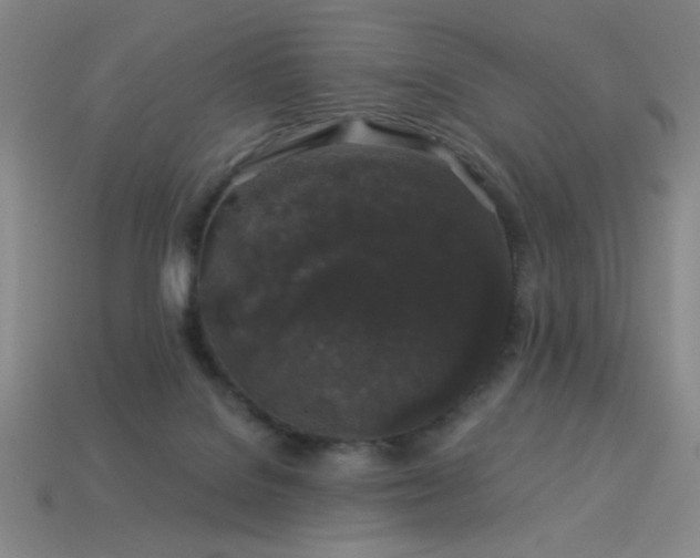 X0000114120076200910051519