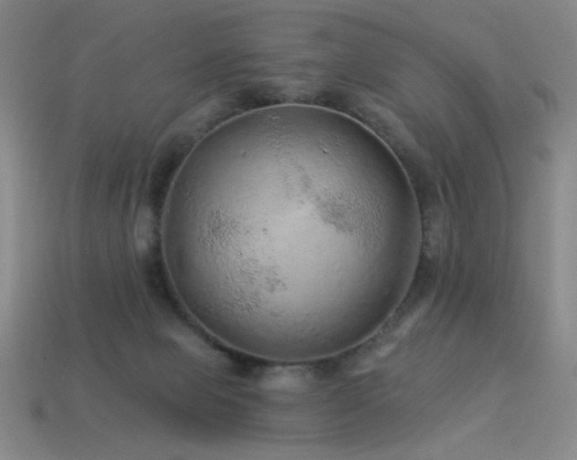 X0000114120077200910051519