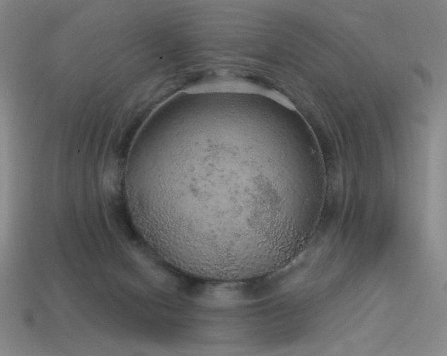 X0000114120078200910051519