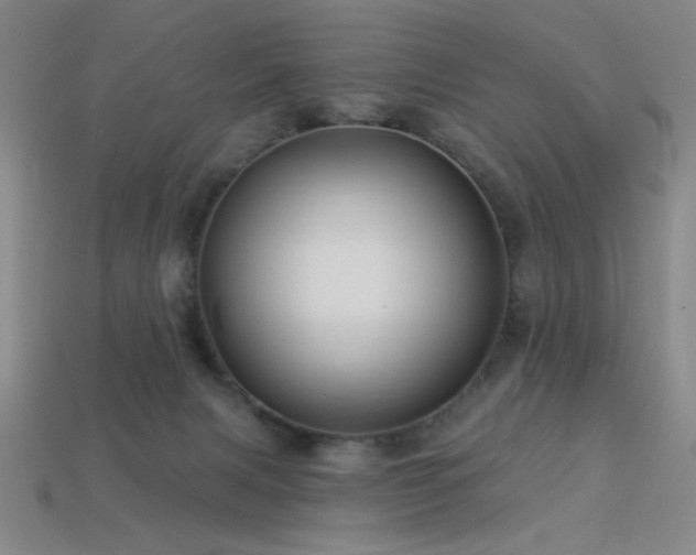 X0000114120079200910051519