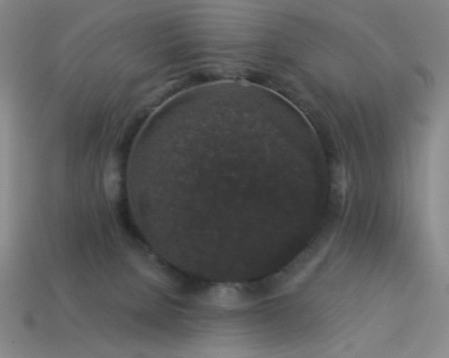 X0000114120080200910051519