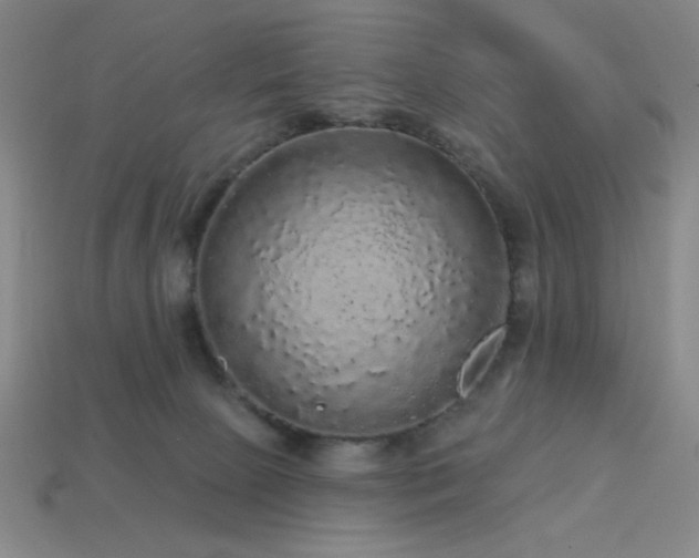 X0000114120081200910051519