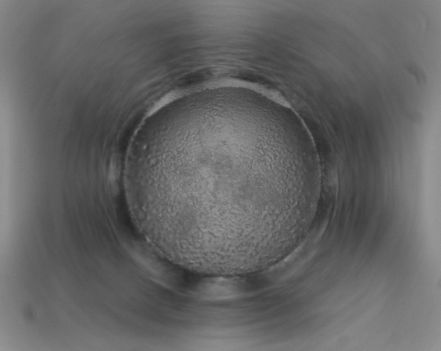 X0000114120082200910051519