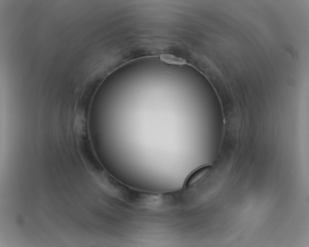 X0000114120083200910051519