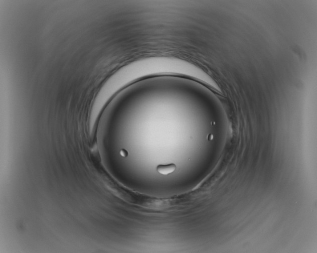 X0000114120084200910051519