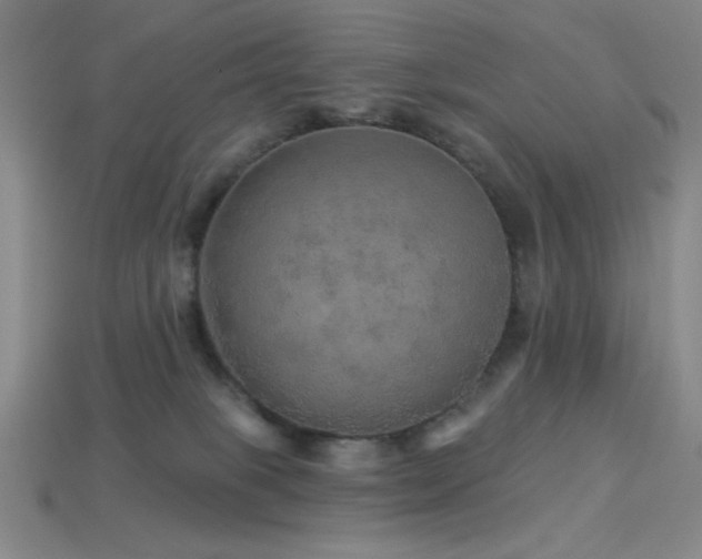 X0000114120085200910051519