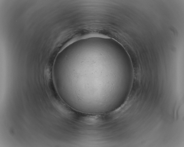 X0000114120086200910051519