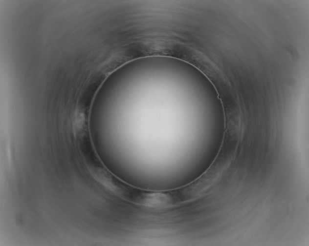 X0000114120087200910051519