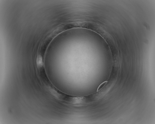 X0000114120089200910051519