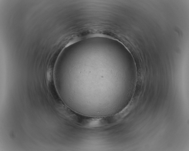 X0000114120090200910051519