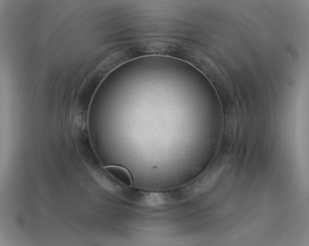 X0000114120091200910051519