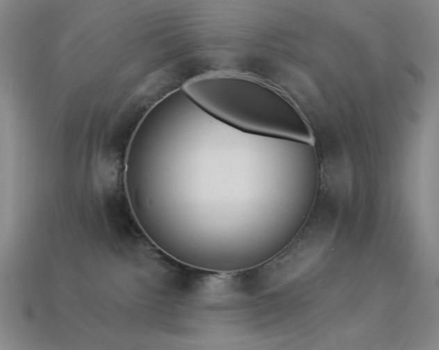 X0000114120092200910051519