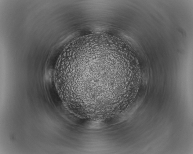 X0000114120093200910051520