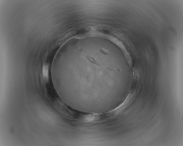 X0000114120094200910051520