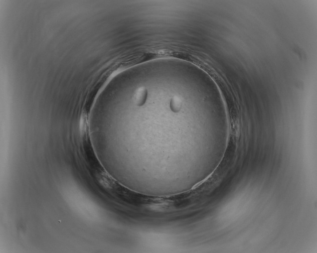 X0000114120095200910051520