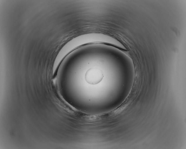 X0000114120096200910051520