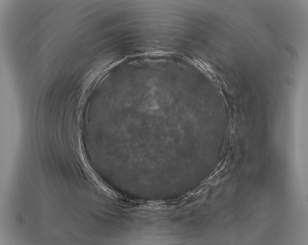 X0000114120097200910051519