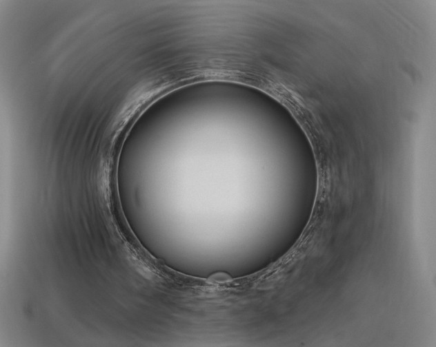 X0000114120098200910051519