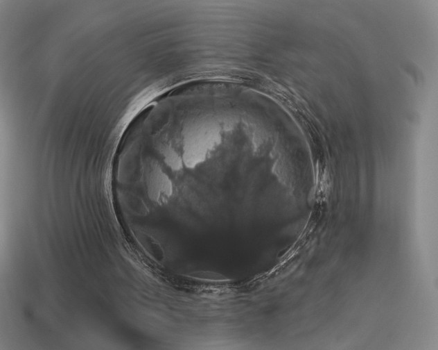 X0000114120099200910051519