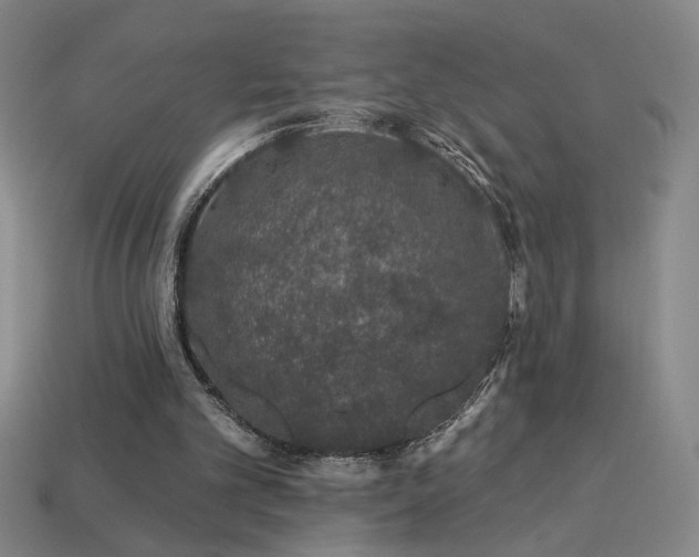 X0000114120101200910051519