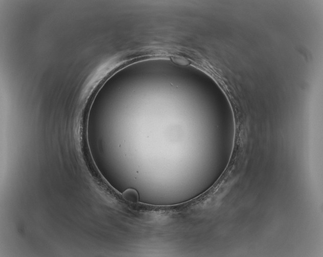 X0000114120103200910051519