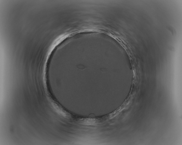 X0000114120104200910051519