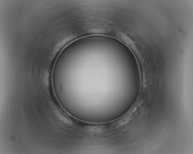 X0000114120106200910051519