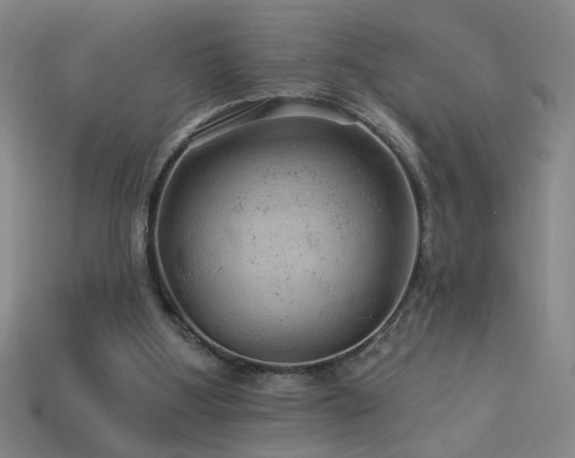 X0000114120107200910051519