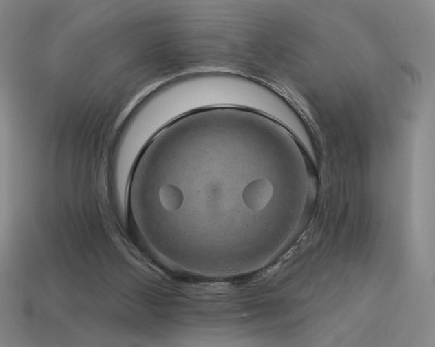 X0000114120108200910051519