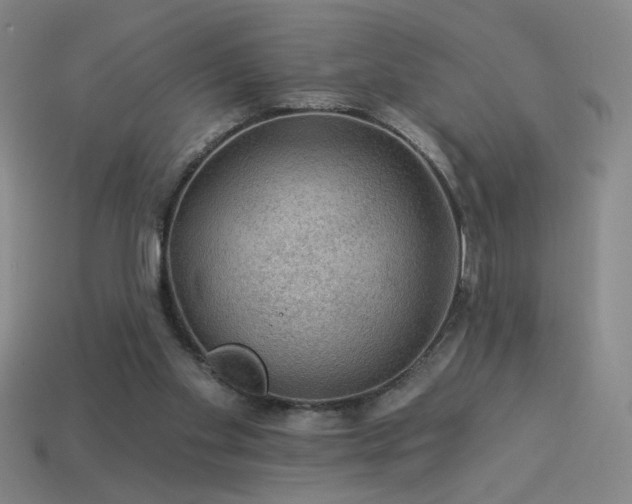 X0000114120109200910051519