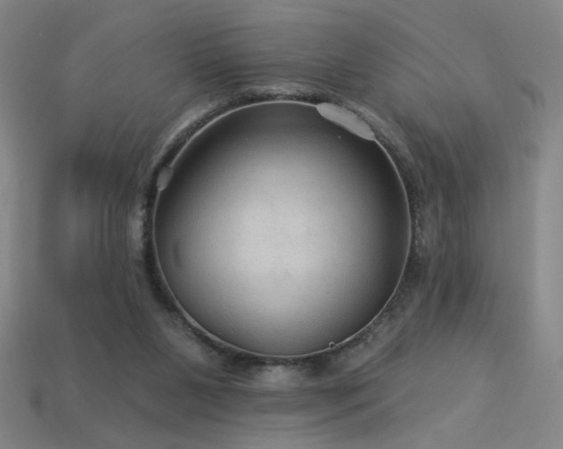 X0000114120111200910051519