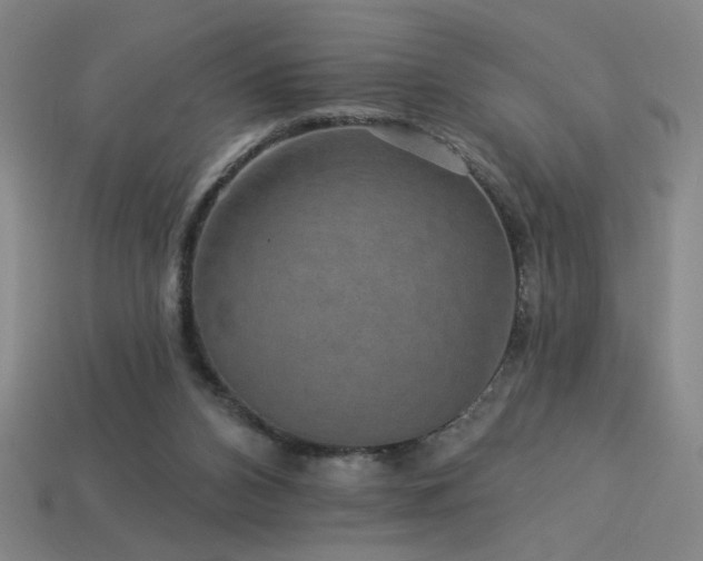 X0000114120112200910051519