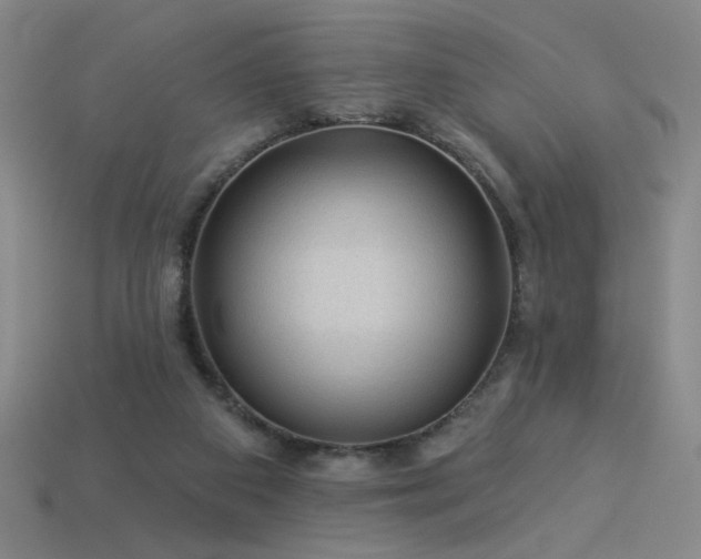 X0000114120113200910051519