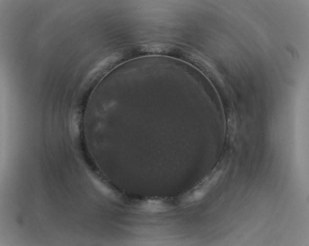 X0000114120114200910051519