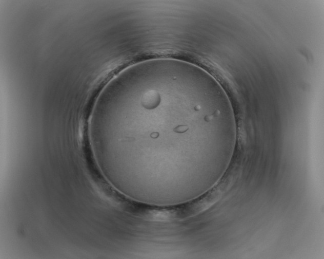 X0000114120115200910051519