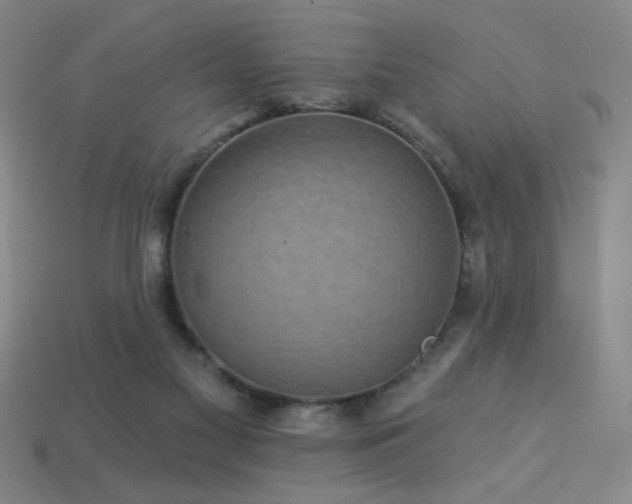 X0000114120117200910051518