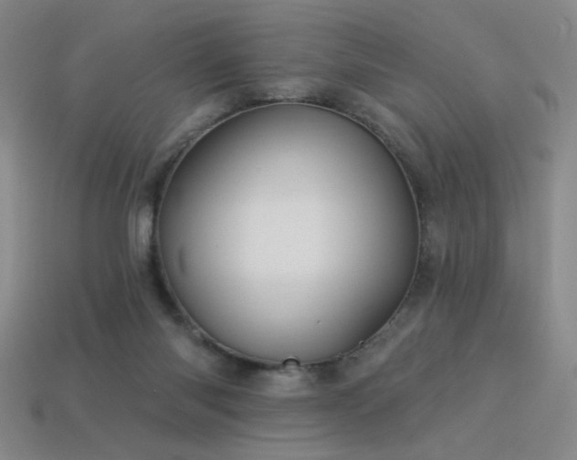 X0000114120118200910051518