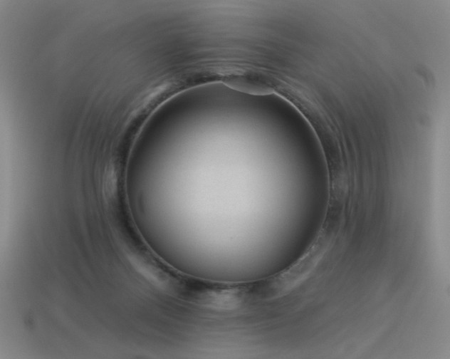 X0000114120120200910051518