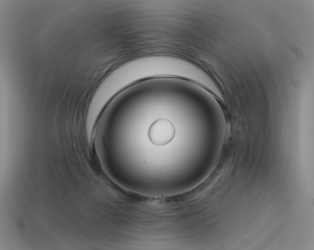 X0000114120121200910051518