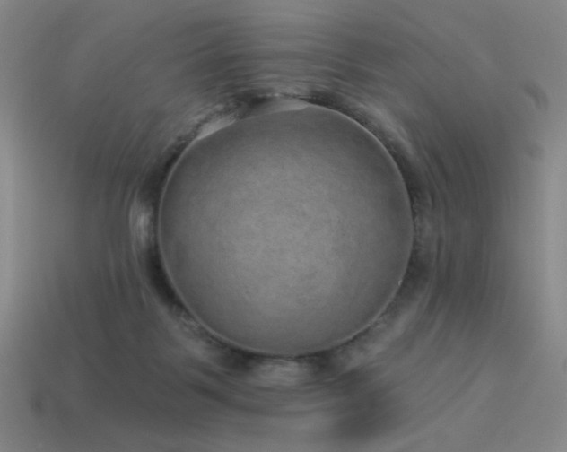 X0000114120123200910051518