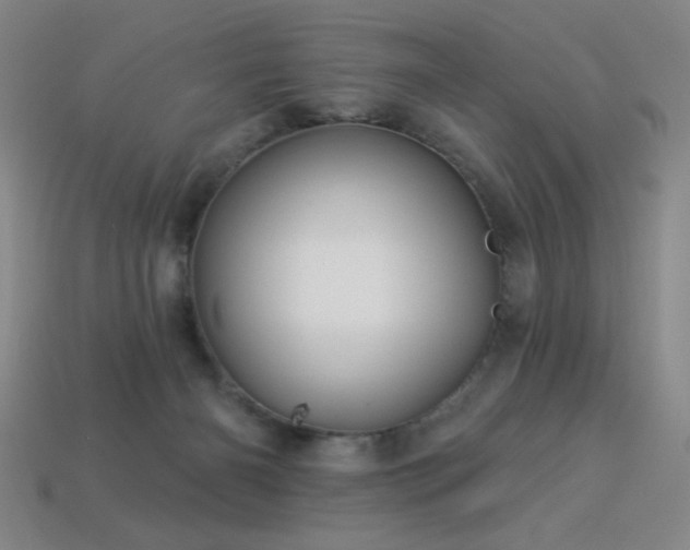 X0000114120126200910051518