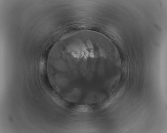 X0000114120127200910051518