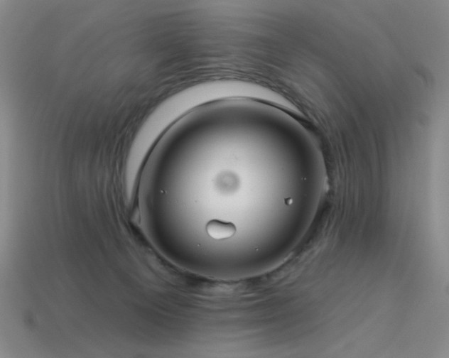 X0000114120129200910051518