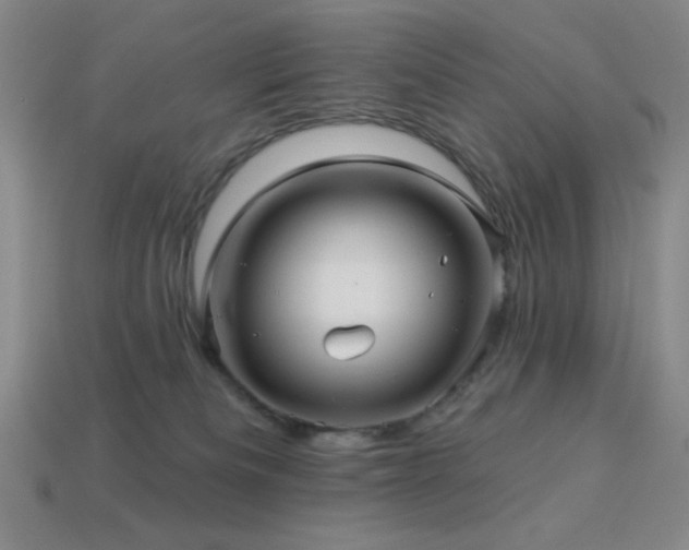 X0000114120133200910051518