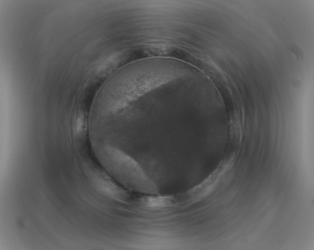 X0000114120134200910051518