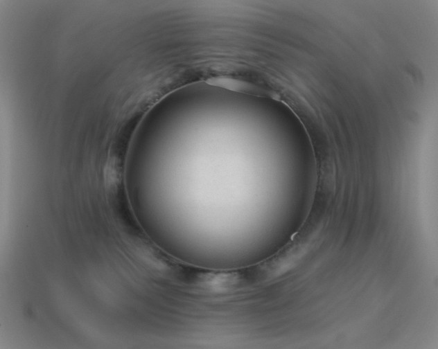 X0000114120135200910051518