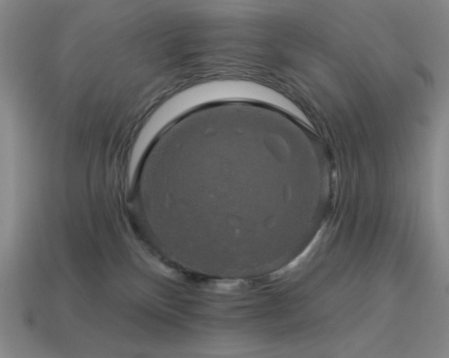 X0000114120136200910051518