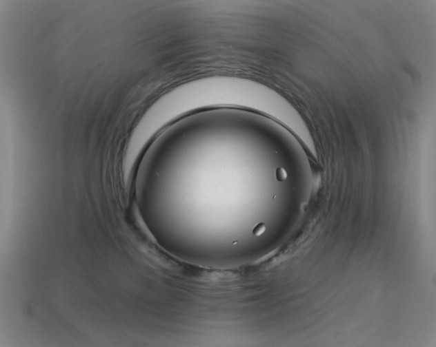 X0000114120137200910051518