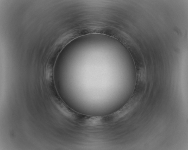 X0000114120138200910051518